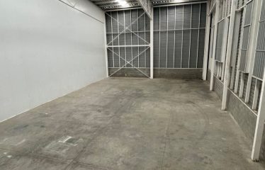 Galpón Arriendo Desde 390m2    Ruta 5 / La Montaña