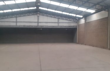 Galpón de 500 m2    Ruta 5 -Lo Espejo