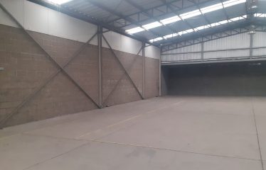 Galpón de 500 m2    Ruta 5 -Lo Espejo