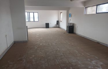 Propiedad Industrial 5.000m2 La Montaña / Ruta 5