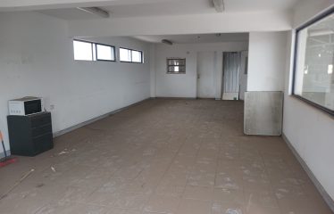 Propiedad Industrial 5.000m2 La Montaña / Ruta 5