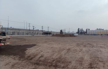Terreno En Arriendo 8.000m2     San Ignacio / Ruta 5