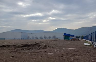 Terreno En Arriendo 5.000m2   Lautaro / Ruta 5