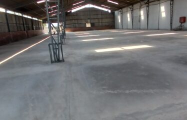 Galpón Industrial De 1000m2 En 2.000m2    San Ignacio / Ruta 5
