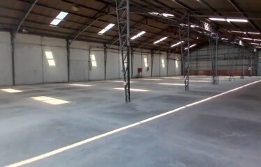 Galpón Industrial De 1000m2 En 2.000m2    San Ignacio / Ruta 5