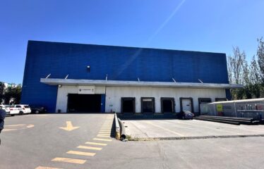 Propiedad Industrial Arriendo 10.400m2  San Ignacio/ Ruta 5